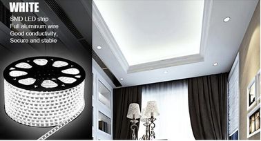 De warme Witte Kleur leidde Strooklichten 12v/Openlucht Geleide Strooklichten Waterdichte IP65